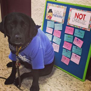 black dog wearing blue anti-bullying shirt in front of poster