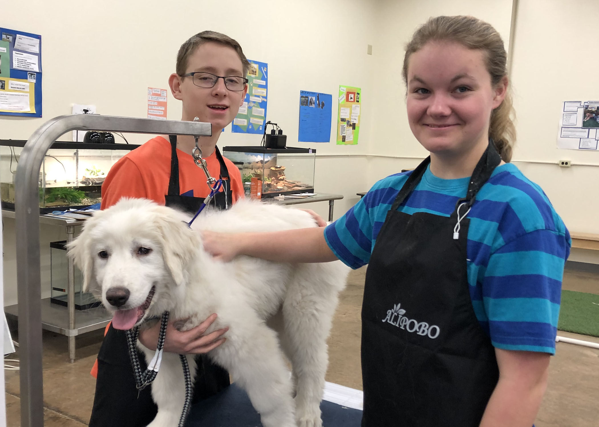 girl and boy pet white dog