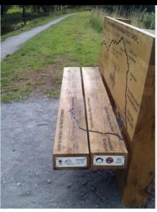 wooden bench on a trail