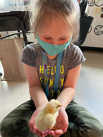 student holding a chick