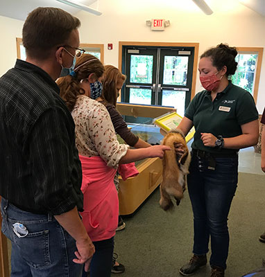 student touching pelt held by staff member