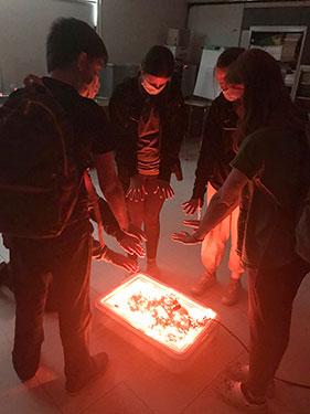 students standing around an artificial campfire