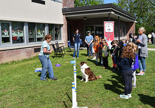 Hessian Hill Farm canine trainer, dog and student interns present to students