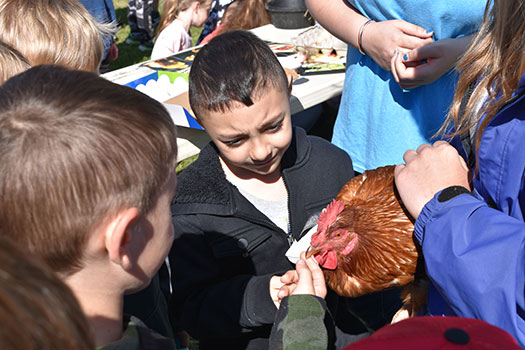 students petting a chicken