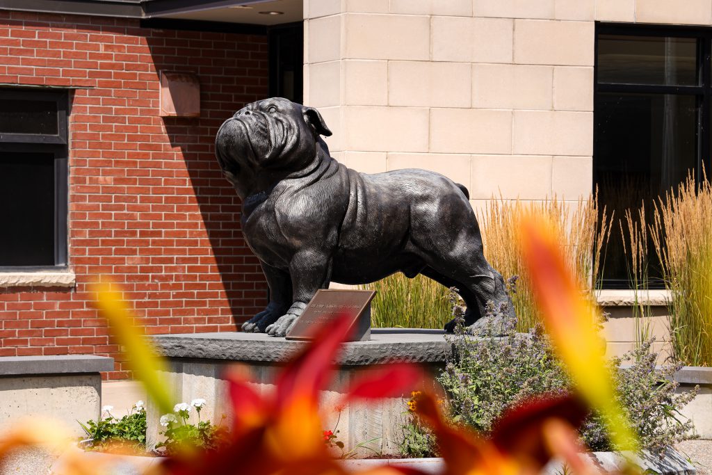 bernie bulldog statue